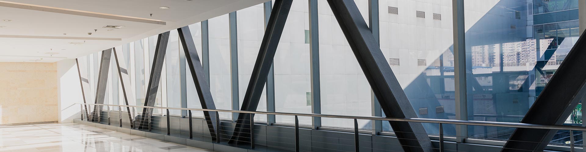 ��8ͷ�����(�й���½)-�ٷ���վ