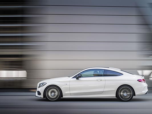 ��8ͷ�����(�й���½)-�ٷ���վ